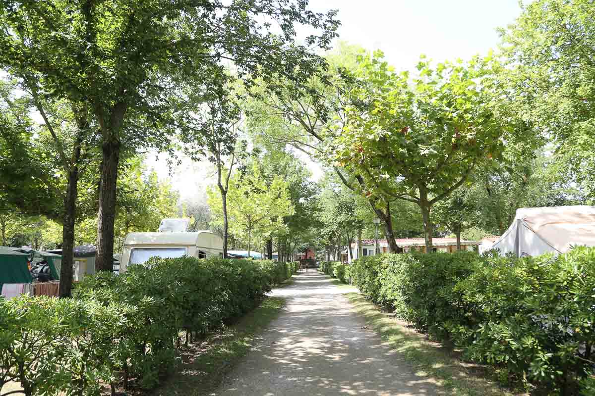 Camping Litorale Cavallino3